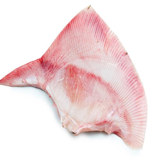 CANADA - SKATE WING (HONGEO)