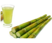 GO - SUGAR CANE (BOX)