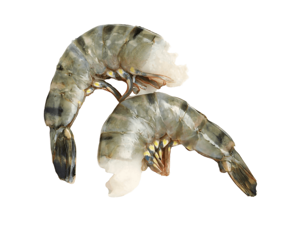 BLACK TIGER SHRIMP - P&D T/ON 31/40