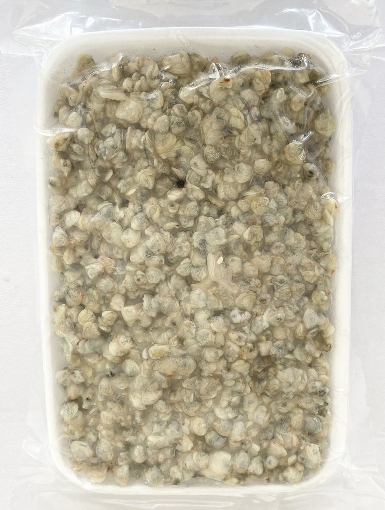 ***BUTTERFLY - CLAM MEAT BABY (BOILED)