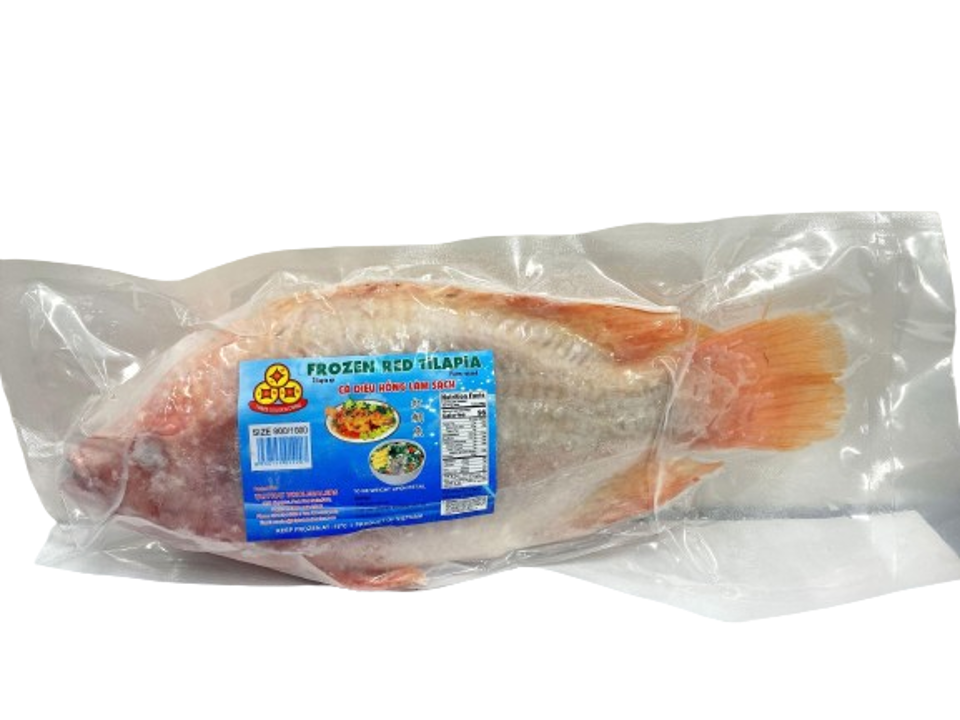 FZ 3Coins Red Tilapia TP-42.1 -1Pc -800/1000