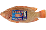 GO-FZ RED TILAPIA FISH 33LBS