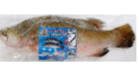 GO - GIANT SEAPEARCH FISH 800/1200