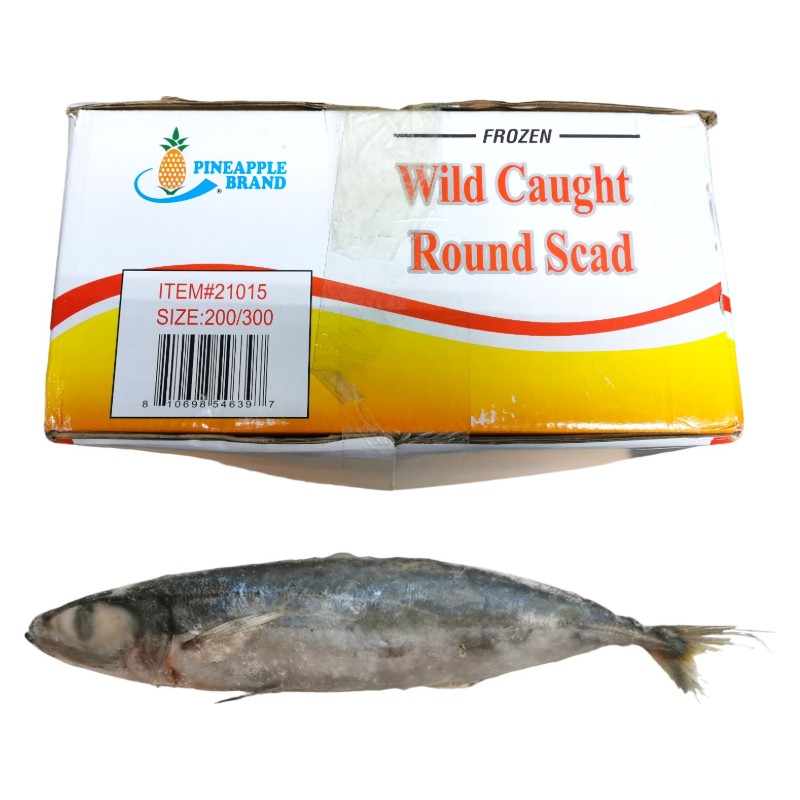 PINEAPPLE - FROZEN ROUND SCAD 200/300 WILD CAUGHT (22 LBS)